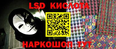 крисы Моздок