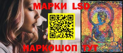 крисы Моздок