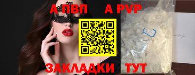 крисы Моздок