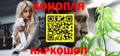 крисы Моздок