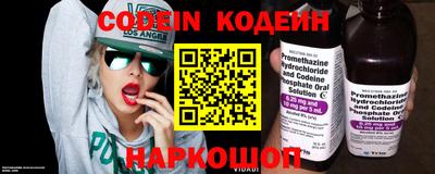 крисы Моздок