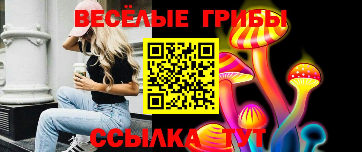 Бузулук  Галлюциногенные грибы Magic Shrooms  Вход с VPN 